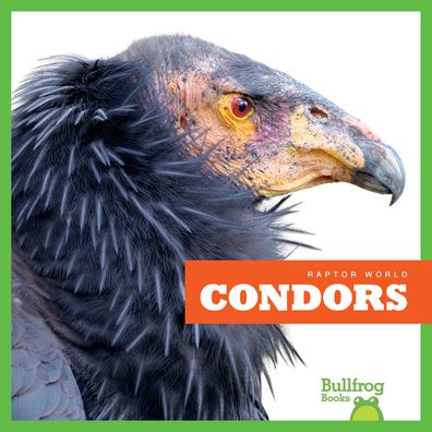 Cover for Jenna Lee Gleisner · Condors (Paperback Book) (2019)