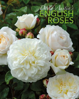 Cover for David Austin · David Austin's English Roses (Innbunden bok) [Revised edition] (2020)