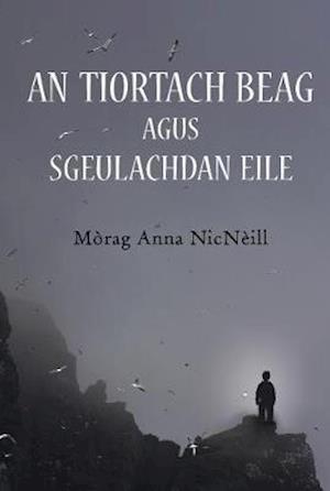 Cover for Morag Anna NicNeill · An Tiortach Beag agus Sgeulachdan Eile (Paperback Book) (2019)