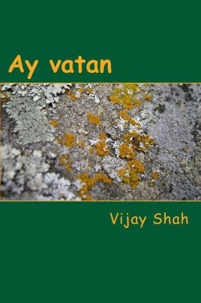 Cover for Vijay Shah · Ay Vatan (Pocketbok) (2017)