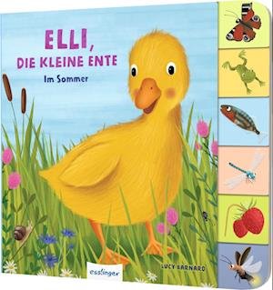 Cover for Anja Kiel · Mein erstes Jahreszeitenbuch: Elli, die kleine Ente (Book) (2023)