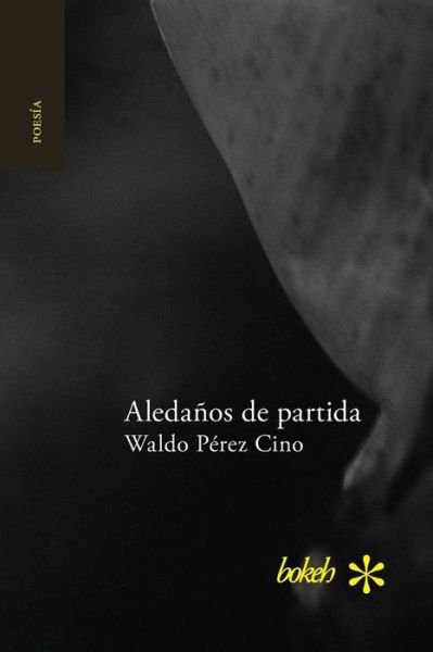 Cover for Waldo Perez Cino · Aledanos De Partida (Paperback Bog) (2015)