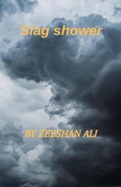 Cover for Zeeshan Ali · Slag shower (Paperback Book) (2022)