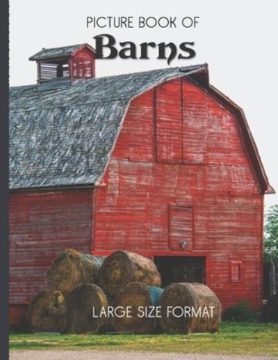 Cover for Old Church Lane Books · Picture Book Of Barns Large Size Format (Taschenbuch) (2020)