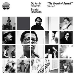 Cover for Various Artists · Dj Amir Presents Strata Records-The Sound Of Detroit Volume 1 (LP) (2023)