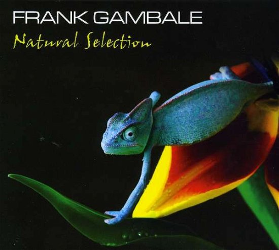 Cover for Frank Gambale · Natural Selection (CD) (2010)