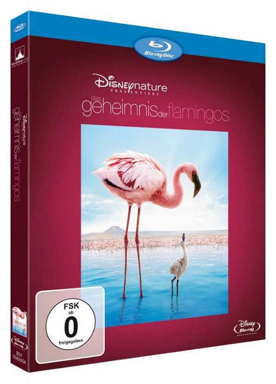 Cover for Br Das Geheimnis Der Flamingos (MERCH)
