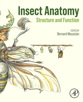 Cover for Bernard Moussian · Insect Anatomy: Structure and Function (Paperback Book) (2025)