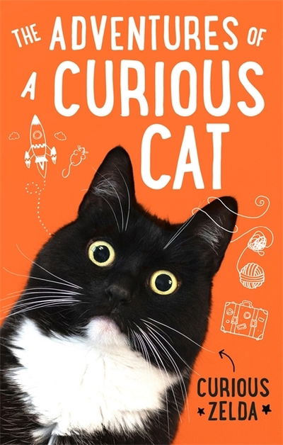 Cover for Curious Zelda · The Adventures of a Curious Cat: wit and wisdom from Curious Zelda, purrfect for cats and their humans (Paperback Book) (2020)