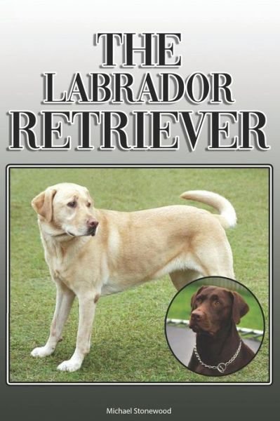 Cover for Michael Stonewood · The Labrador Retriever (Paperback Book) (2019)