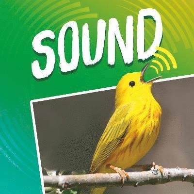 Cover for Dahl, Michael (Author) · Sound - Light and Sound (Paperback Book) (2022)