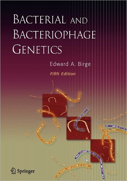 Cover for Birge, Edward A. (Arizona State University, Tempe, Az, Usa) · Bacterial and Bacteriophage Genetics (Paperback Bog) [5th Ed. Softcover of Orig. Ed. 2006 edition] (2010)