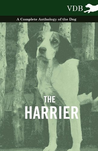 Cover for The Harrier - a Complete Anthology of the Dog (Pocketbok) (2010)