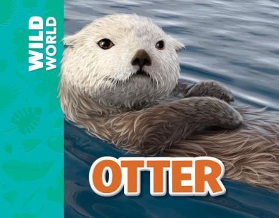 Otter - Meredith Costain - Books - Windmill Books - 9781499482195 - December 30, 2016