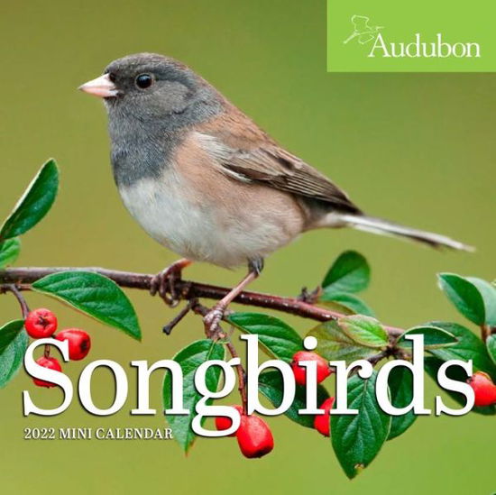 Cover for National Audubon Society · 2022 Audubon Songbirds Mini (Calendar) (2021)