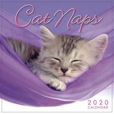 Cover for Sellers Publishing · Cat Naps 2020 Mini Wall Calendar (Calendar) (2019)