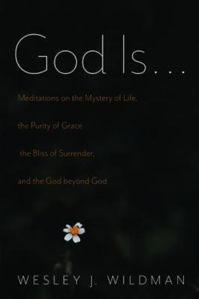 Cover for Wesley J Wildman · God Is . . .: Meditations on the Mystery of Life, the Purity of Grace, the Bliss of Surrender, and the God Beyond God (Paperback Book) (2019)