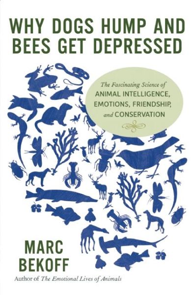 Why Dogs Hump and Bees Get Depressed: The Fascinating Science of Animal Intelligence, Emotions, Friendship, and Conservation - Marc Bekoff - Bücher - New World Library - 9781608682195 - 5. November 2013