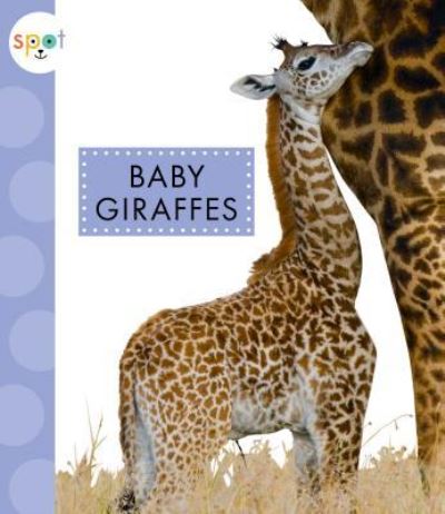 Cover for K. C. Kelley · Baby Giraffes (Hardcover Book) (2018)