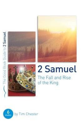 Cover for Tim Chester · 2 Samuel: The Fall and Rise of the King: 6 studies for groups and individuals - Good Book Guides (Paperback Book) (2017)