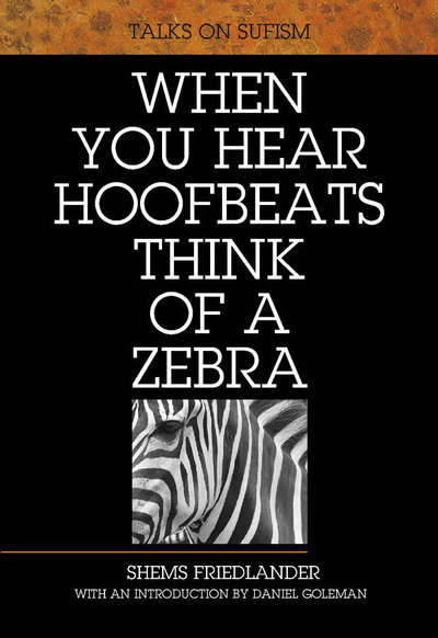 Cover for Shems Friedlander · When You Hear Hoofbeats Think of a Zebra (Paperback Book) [3rd edition] (2006)