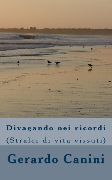 Cover for Gerardo Canini · Divagando nei ricordi (Paperback Book) (2017)