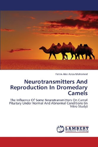 Cover for Abo Aziza Mohamed Faten · Neurotransmitters and Reproduction in Dromedary Camels (Pocketbok) (2013)