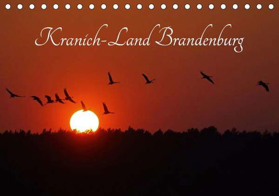 Cover for Konieczka · Kranich-Land Brandenburg (Tis (Book)