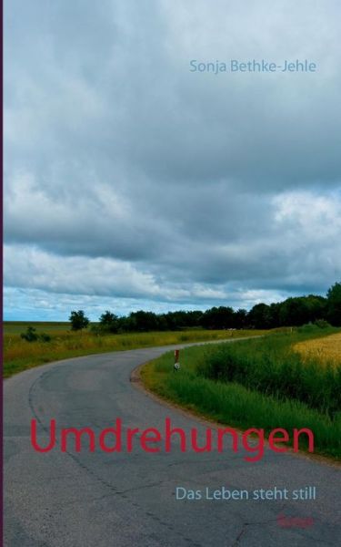 Cover for Sonja Bethke-jehle · Umdrehungen (Paperback Book) (2025)