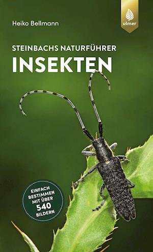 Cover for Heiko Bellmann · Steinbachs Naturführer Insekten (Paperback Book) (2022)