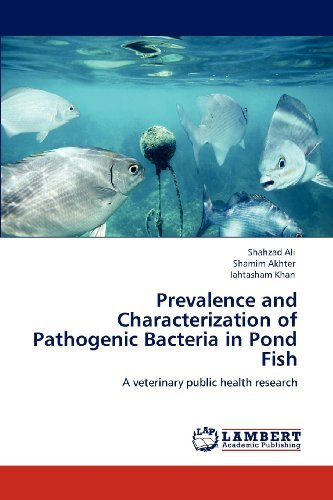Cover for Iahtasham Khan · Prevalence and Characterization of Pathogenic Bacteria in Pond Fish: a Veterinary Public Health Research (Paperback Bog) (2012)