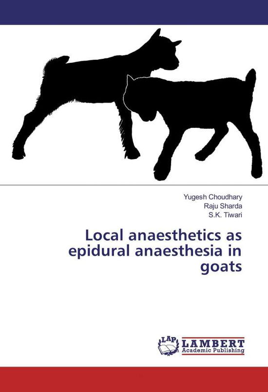 Local anaesthetics as epidura - Choudhary - Books -  - 9786202012195 - 