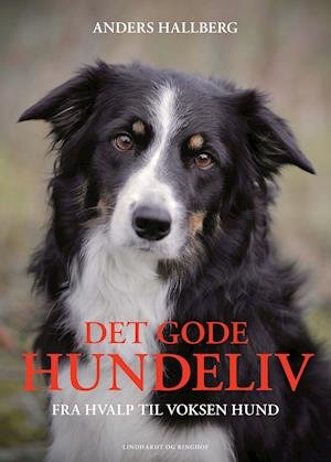 Cover for Anders Hallgren · Det gode hundeliv (Bound Book) [1st edition] (2022)