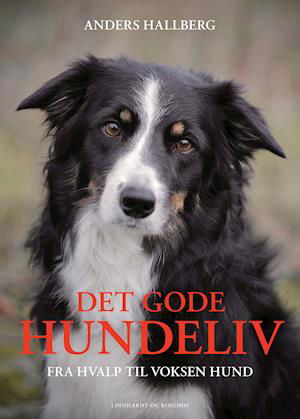 Cover for Anders Hallgren · Det gode hundeliv (Inbunden Bok) [1:a utgåva] (2022)