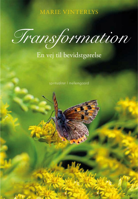 Cover for Marie Vinterlys · Transformation (Poketbok) [1:a utgåva] (2023)