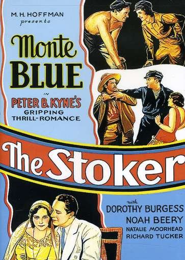 Cover for Stoker (DVD) (2012)