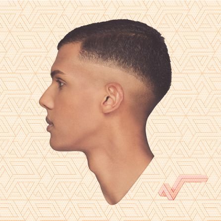 Cover for Stromae · Racine Carrée (CD) (2014)
