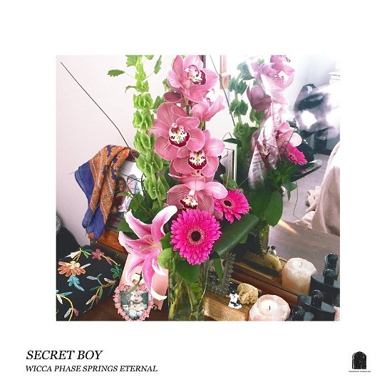 Cover for Wicca Phase Springs Eternal · Secret Boy - Doublemint Green (LP) (2018)