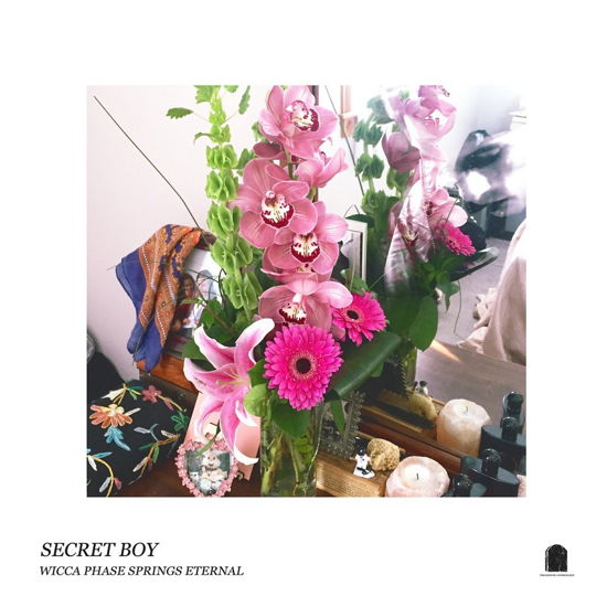 Secret Boy (doublemint Green Vinyl) - Wicca Phase Springs Eternal - Musik - RUN FOR COVER - 0810097913196 - 20. januar 2023