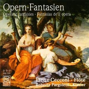 Cover for Briccialdi / Cecconi / Pargoletti · Opern-fantasien Fur Flote (CD) (2012)