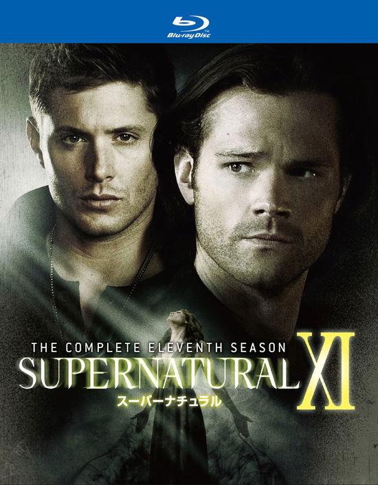 Supernatural S11 Complete Box - Jared Padalecki - Music - WARNER BROS. HOME ENTERTAINMENT - 4548967290196 - September 16, 2016