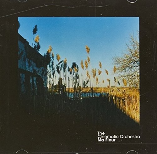Cover for Cinematic Orchestra · Ma Fleur (CD) (2013)