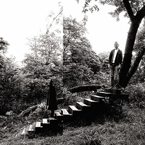 Cover for Timber Timbre · Timbre Timbre (LP) (2021)