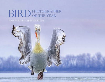 Cover for Bird Photographer of the Year · Bird Photographer of the Year: Collection 4 - Bird Photographer of the Year (Gebundenes Buch) (2019)