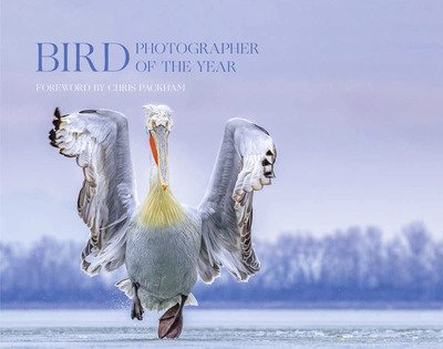 Cover for Bird Photographer of the Year · Bird Photographer of the Year: Collection 4 - Bird Photographer of the Year (Hardcover bog) (2019)