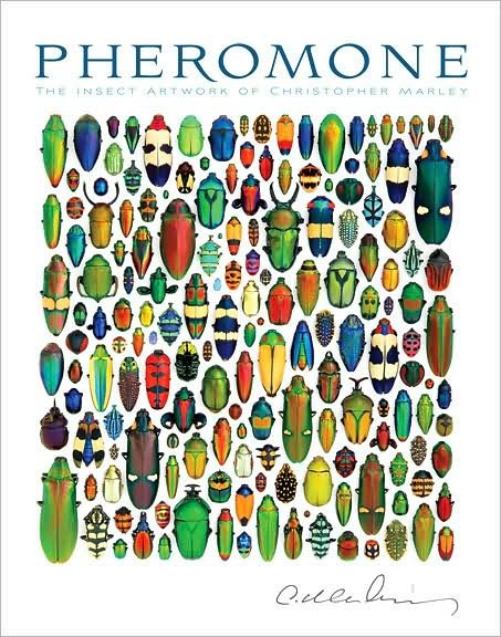 Cover for Christopher Marley · Pheromone the Insect Artwork of Christopher Marley (Innbunden bok) (2008)