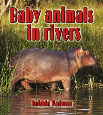 Cover for Bobbie Kalman · Baby Animals in Rivers (Habitats of Baby Animals) (Hardcover Book) (2013)
