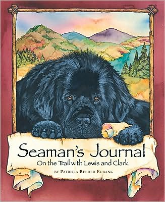 Seaman's Journal - Patricia Reeder Eubank - Książki - Worthy Publishing - 9780824956196 - 2 lutego 2010