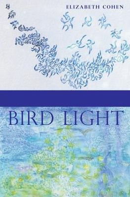 Cover for Elizabeth Cohen · Bird Light (Paperback Book) (2016)