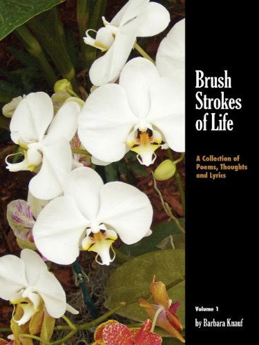 Cover for Barbara Knauf · Brush Strokes of Life (Paperback Book) (2012)